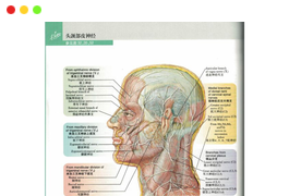 奈特人体解剖学彩色图谱(第6版)PDF全彩版下载-谷酷资源网