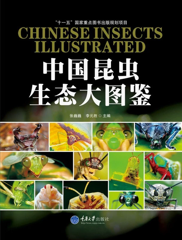 《中国昆虫生态大图鉴》全彩版高清PDF图书下载-谷酷资源网